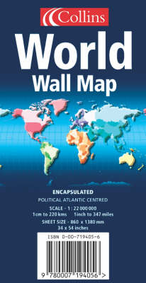 World Wall Map