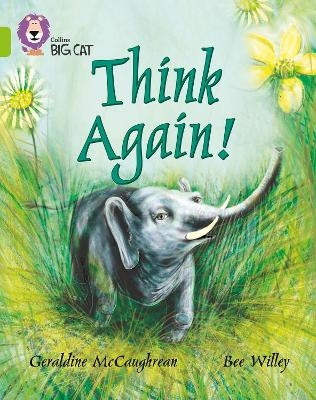 Think Again! - Geraldine McCaughrean, Bee Willey