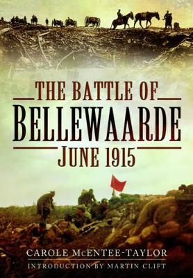 Battle of Bellewaarde, June 1915 - Carole McEntee-Taylor