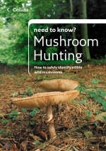 Mushroom Hunting - Patrick Harding