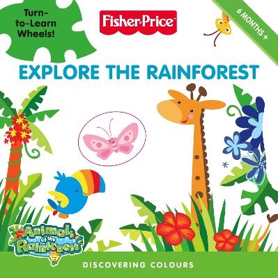 Explore the Rainforest