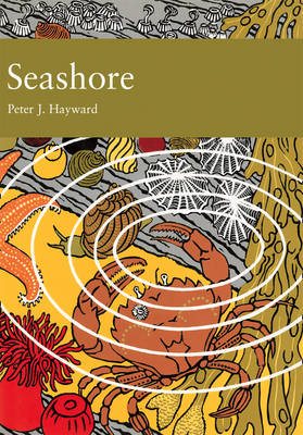 Seashore - Peter Hayward