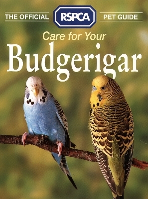 Care for your Budgerigar -  RSPCA