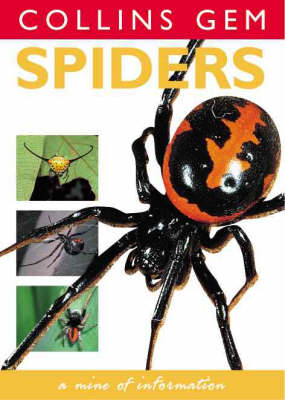 Spiders - Paul Hillyard