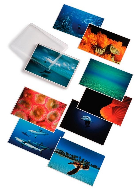 David Doubilet; Water Light Time Postcards - David Doubilet