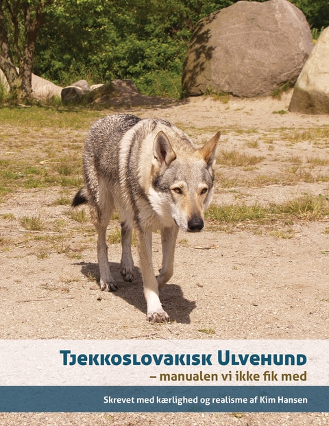 Tjekkoslovakisk ulvehund -  Kim Hansen