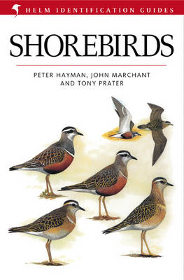 Shore Birds - Peter Hayman, John Marchant, Tony Prater