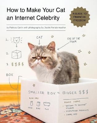 How to Make Your Cat an Internet Celebrity - Patricia Carlin