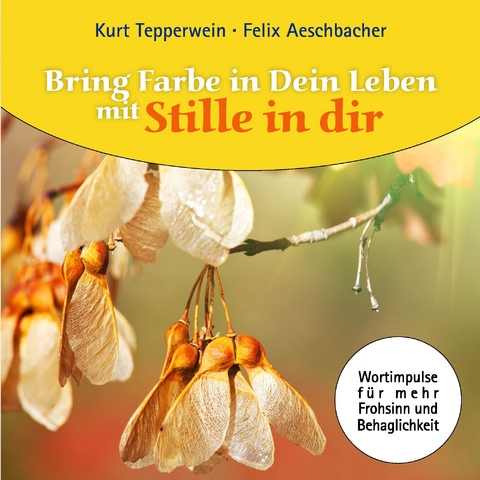 Bring Farbe in Dein Leben mit Stille in dir -  Kurt Tepperwein,  Felix Aeschbacher