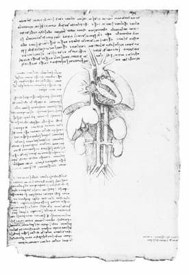 Leonardo'S Anatomical Drawings - Leonardo da Vinci