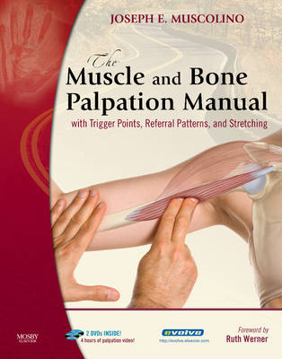 The Muscle and Bone Palpation Manual with Trigger Points, Referral Patterns and Stretching - Joseph E. Muscolino