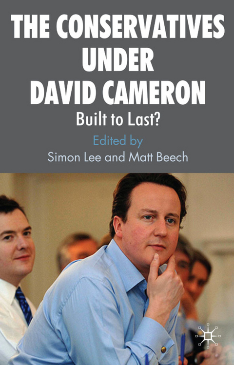 The Conservatives under David Cameron - 