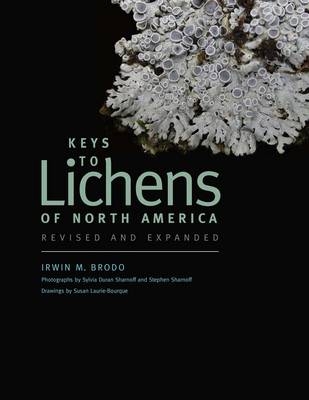 Keys to Lichens of North America -  Brodo Irwin M. Brodo