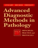 Advanced Diagnostic Methods in Pathology - Timothy J. O'Leary