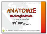 Anatomie: Beckengliedmaße - Gabriele Glück