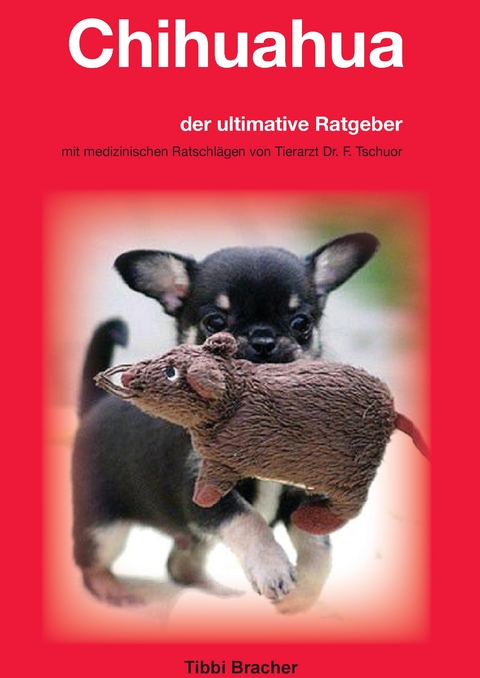 Chihuahua -  Tibbi Bracher