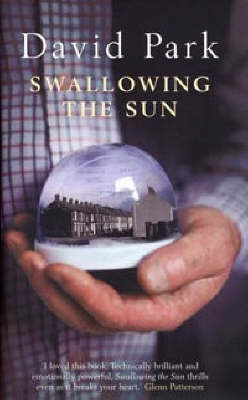 Swallowing the Sun - David Park