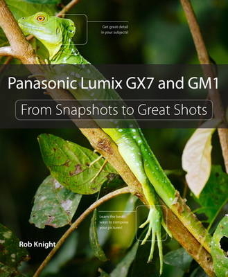 Panasonic Lumix GX7 and GM1 - Rob Knight