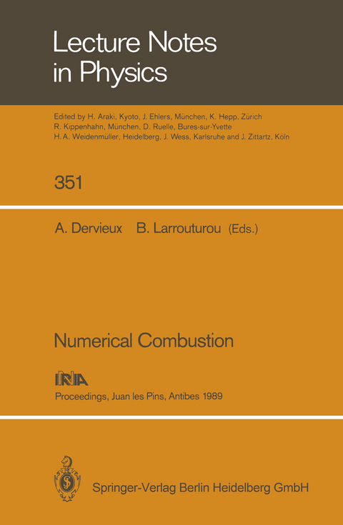 Numerical Combustion - 