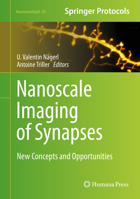 Nanoscale Imaging of Synapses - 