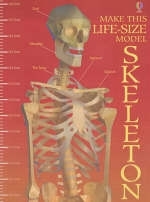 Make This Cut-out Skeleton - I. Ashman