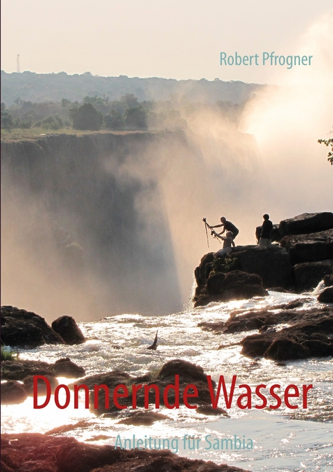 Donnernde Wasser -  Robert Pfrogner