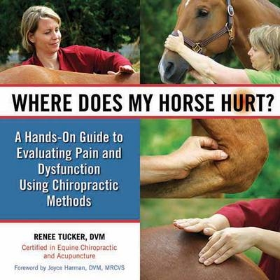 Where Does My Horse Hurt? - Renee Tucker