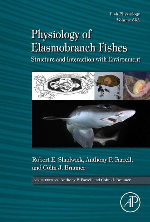 Physiology of Elasmobranch Fishes: Structure and Interaction with Environment - 