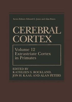 Cerebral Cortex - 