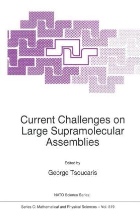 Current Challenges on Large Supramolecular Assemblies - 