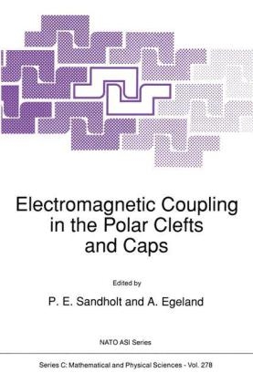 Electromagnetic Coupling in the Polar Clefts and Caps - 