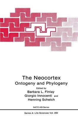 Neocortex - 