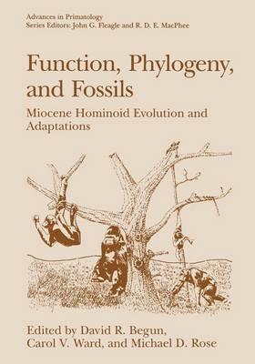 Function, Phylogeny, and Fossils - 