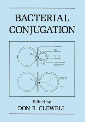 Bacterial Conjugation - 