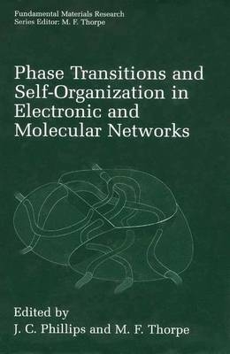 Phase Transitions and Self-Organization in Electronic and Molecular Networks - 