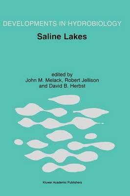 Saline Lakes - 