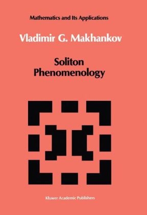 Soliton Phenomenology -  V.G. Makhankov