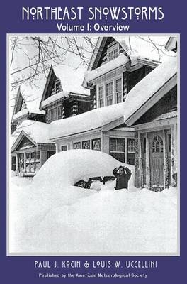 Northeast Snowstorms - 