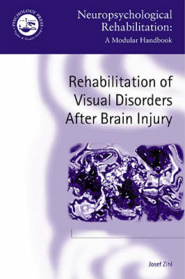 Rehabilitation of Visual Disorders After Brain Injury - Josef Zihl