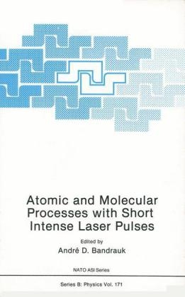 Atomic and Molecular Processes with Short Intense Laser Pulses -  Andre D. Bandruk