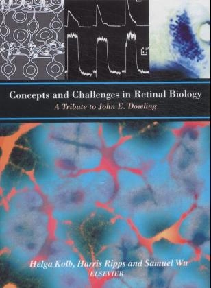 Concepts and Challenges in Retinal Biology - 