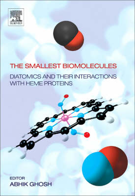 The Smallest Biomolecules: Diatomics and their Interactions with Heme Proteins - 