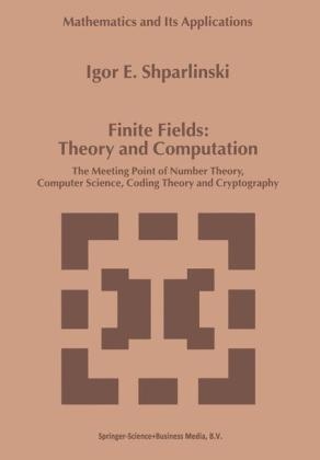 Finite Fields: Theory and Computation -  Igor Shparlinski