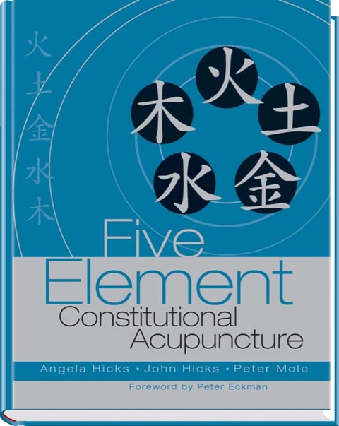 Five Element Constitutional Acupuncture - Angela Hicks, John Hicks, Peter Mole