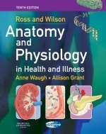 Ross and Wilson Anatomy and Physiology in Health and Illness - Anne Waugh, Allison Grant