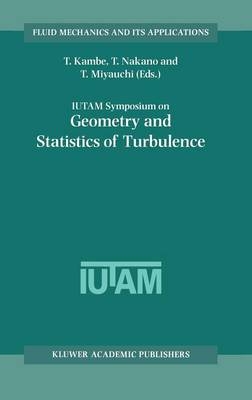 IUTAM Symposium on Geometry and Statistics of Turbulence - 