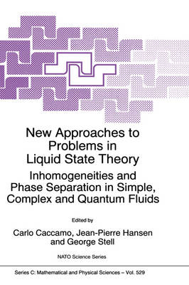 New Approaches to Problems in Liquid State Theory - 