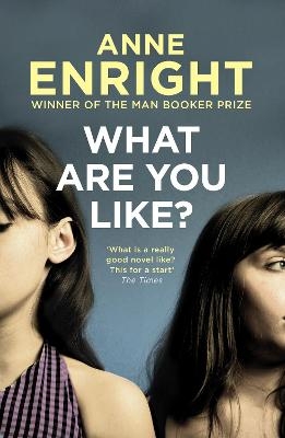 What Are You Like - Anne Enright