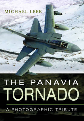 Panavia Tornado -  Michael Leek