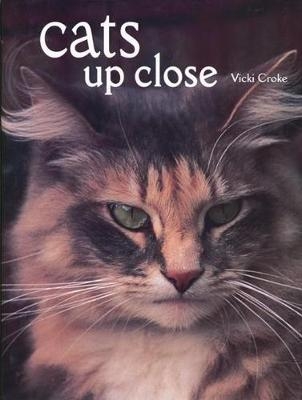 Cats Up Close - Vicki Croke